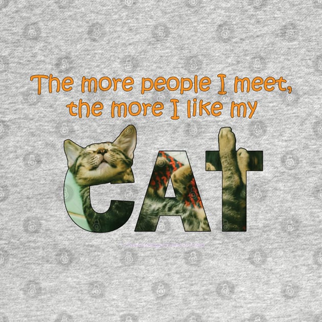 The more people I meet the more i like my cat - tabby cat oil painting word art by DawnDesignsWordArt